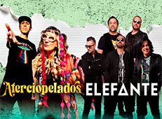  ATERCIOPELADOS & ELEFANTE